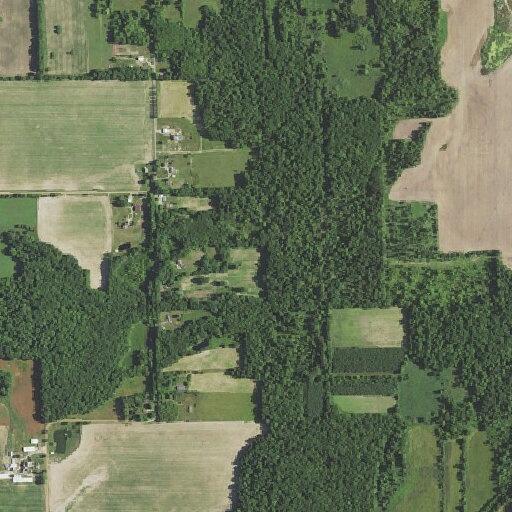 Child bitten by dog on head at residential address