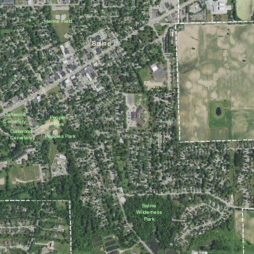 Juveniles reportedly using matches to light cottonwood trees