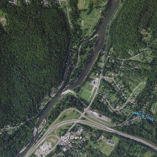 Three-car crash with deer on Route 88 in Fenton
