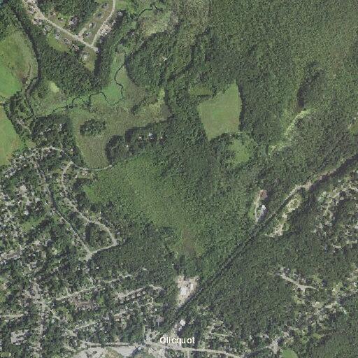 Medical call dispatched near Cottage Avenue, Millis