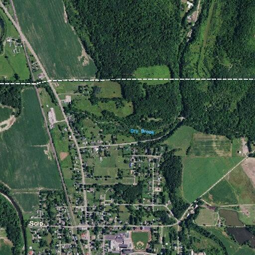 20-year-old male with fractured ankle from fallen tree branch