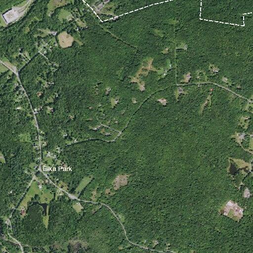Bear will not leave Platte Clove Road property