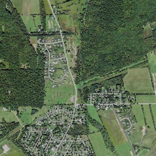 Officer conducts traffic stop in Big Flats
