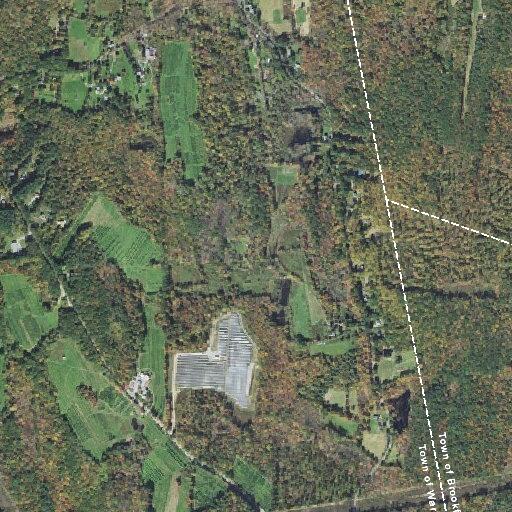 Live cable line down on Cronin Road