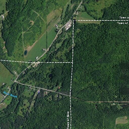 86-year-old woman falls at Pixley Hill Road residence