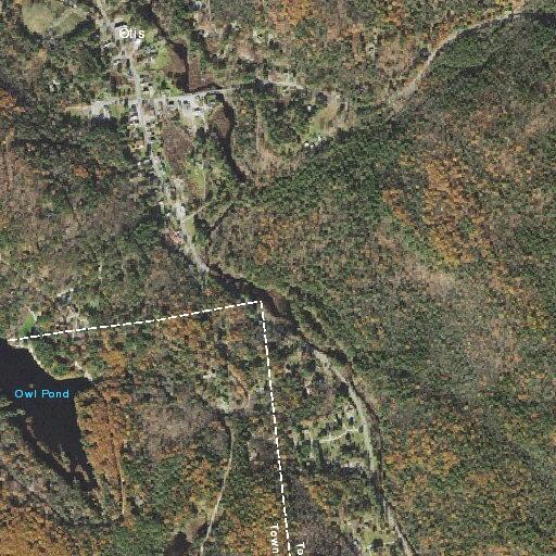 Caller reports bear in backyard on Autumn Court