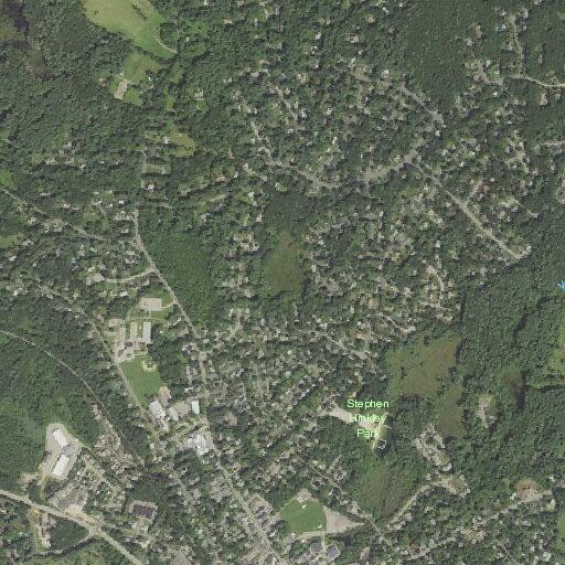 Accidental emergency alert at Wilkins Glen home