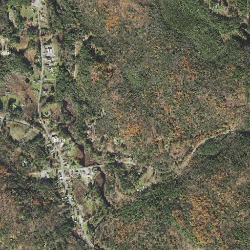 Bear reported at North Main Road property