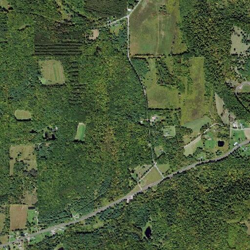 Ongoing four wheeler complaints on Drake Road