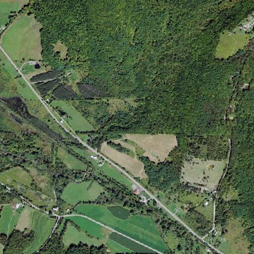Tree leaning on cable wires near roadway