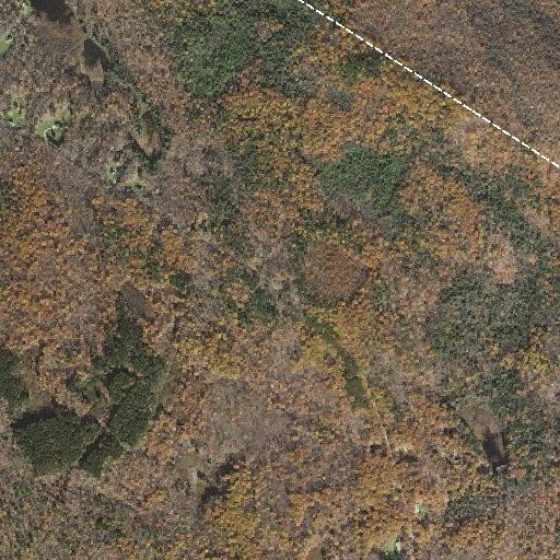 Brief smoke column reported near Beartown Mountain