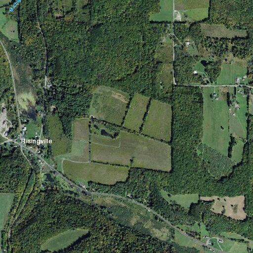 Tree blocking road near County Route 333 cleared