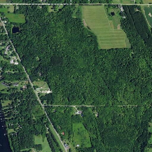 Animal complaint on Route 430