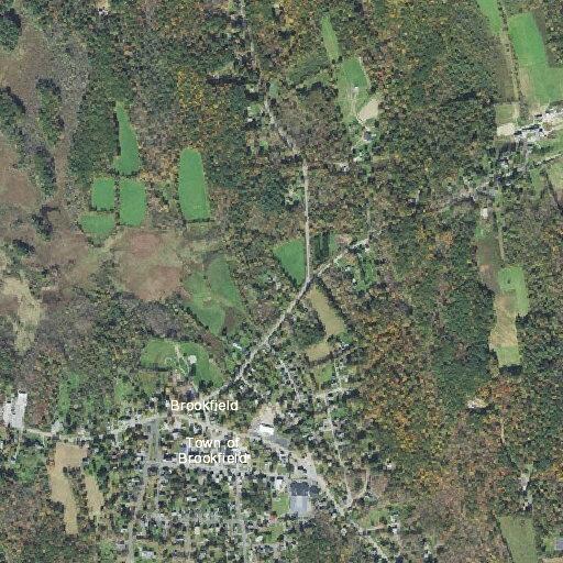 Man with chest pain reported near Green Street in Brookfield
