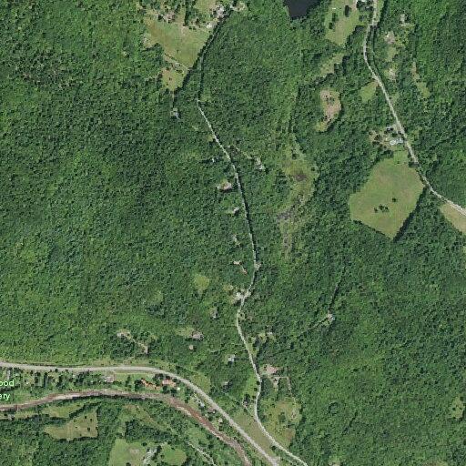 Dead deer on shoulder of Route 203A