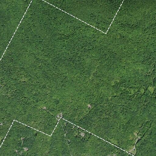 56-year-old man drowns in hot tub at Giddy Woods Road
