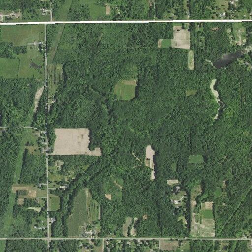 Deer struck and left in roadway near Hagar Shores