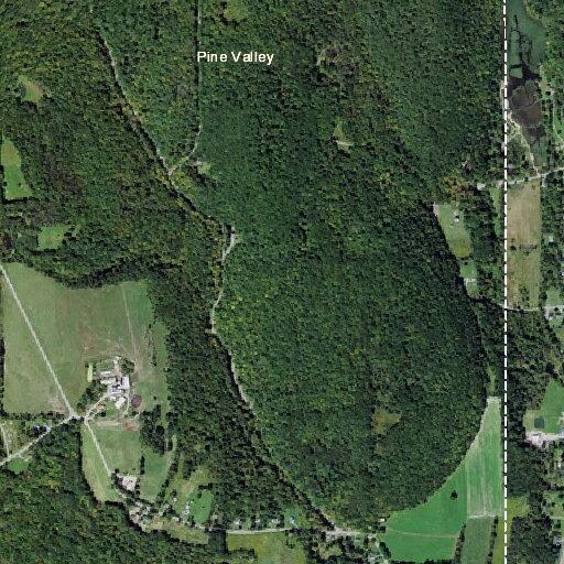 Neighbor dispute over farm animals in roadway