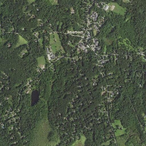 Woman trips and injures ankle near Ivy Lane