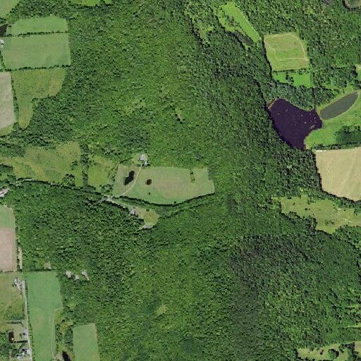 Brush fire reported on Randall Hill Road