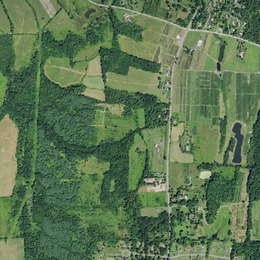 Husband reports suicidal wife at Claverack home