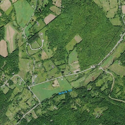Deceased deer found on roadside near Brook Road