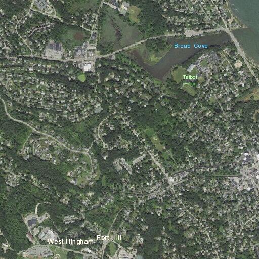 Fox reported in area, gone on arrival