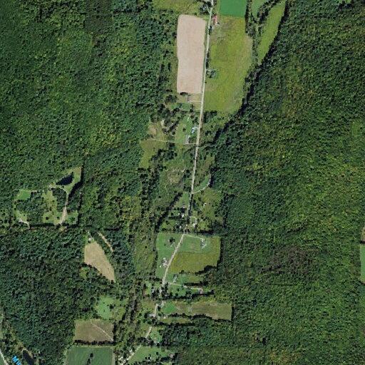 Driver reports being run off road by children