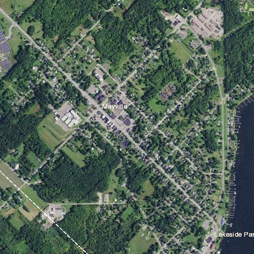 female fall victim needs lift assistance in mayville