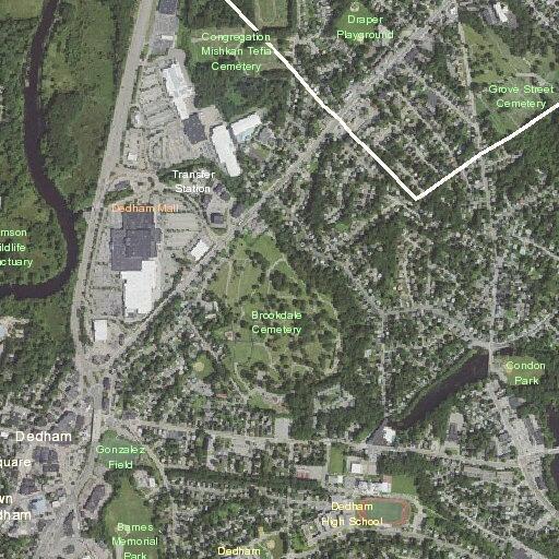 Female vomiting with digestive issues near Maverick Street