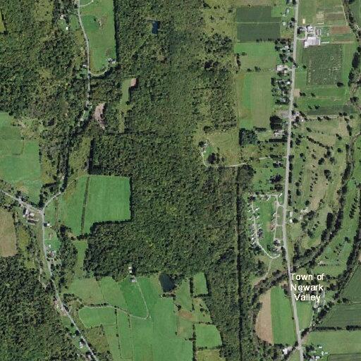 Elderly man refuses to get out of bed at Newark Valley