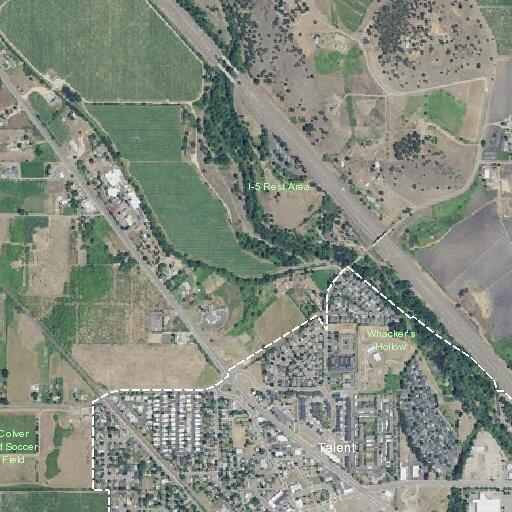 Person needing medical assistance at Willow Springs Dr and Suncrest Rd