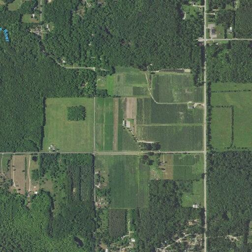 19-year-old female has extended seizure in Paw Paw
