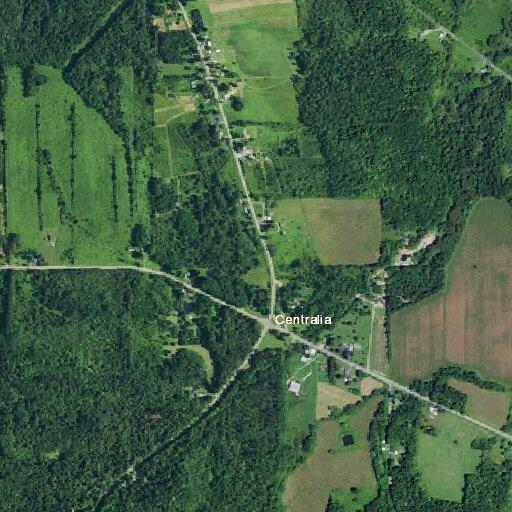 Male struck in head by tree limb suffers laceration