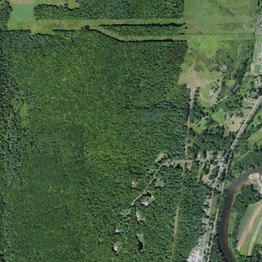Trespass in progress at Bainbridge property