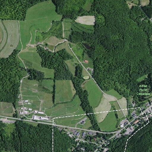 95-year-old woman fallen, needs lift assist at Alfred