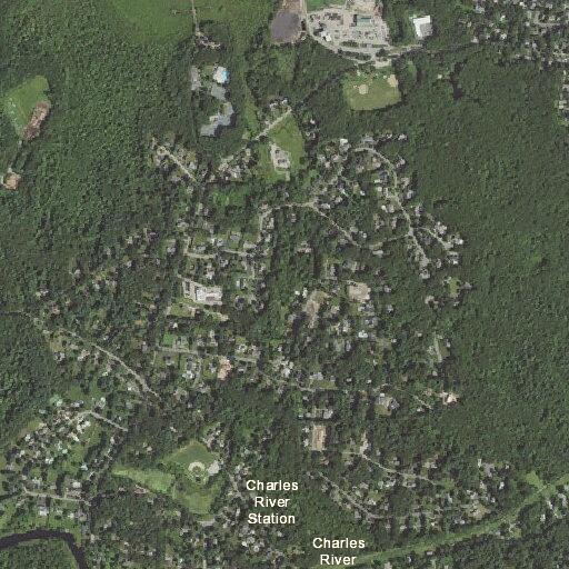 Woman having allergic reaction in car at Walker Gordon Field