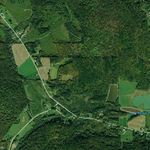 Male found lethargic with altered mental status near Wood Ridge Lane