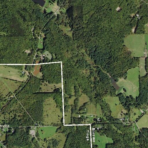 Man having seizure near Pump Hill Road in York Valley