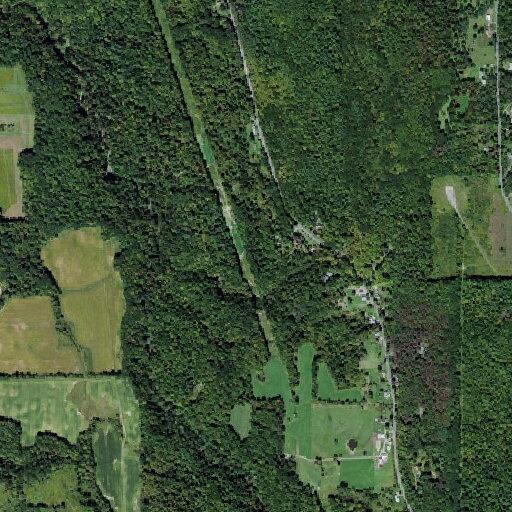 Report of family dispute on Lower Middle Road