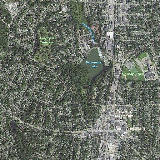 66-year-old man with left knee issue near Needham
