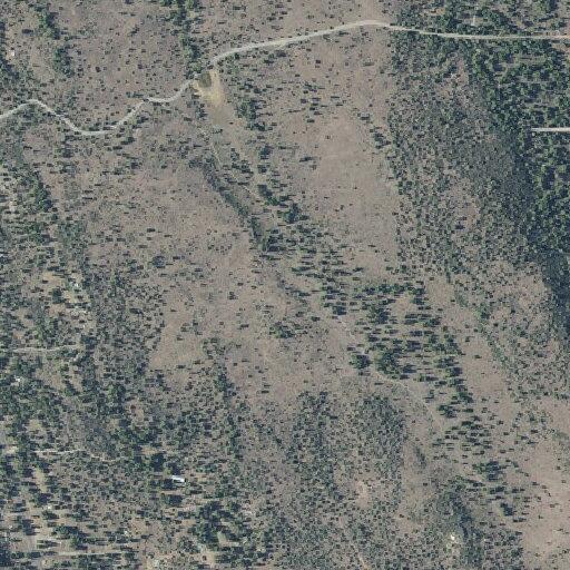 Small brush fire reported on Seagull Drive