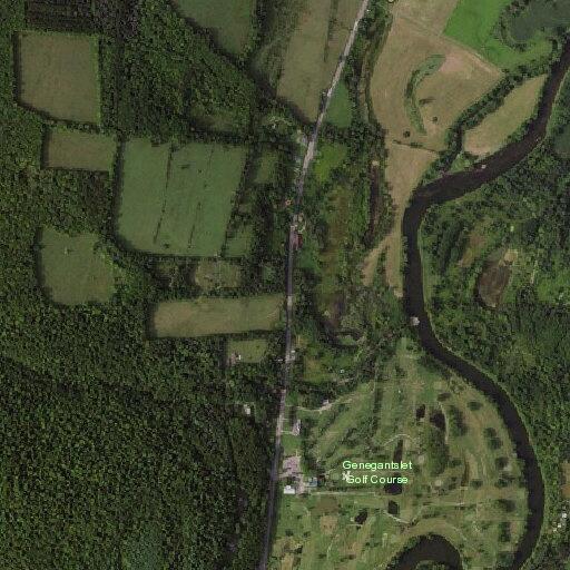 Cow loose in roadway on State Highway 12