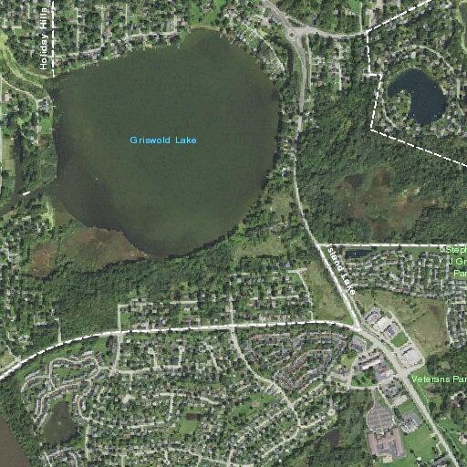 Person needing psychiatric evaluation near Island Lake
