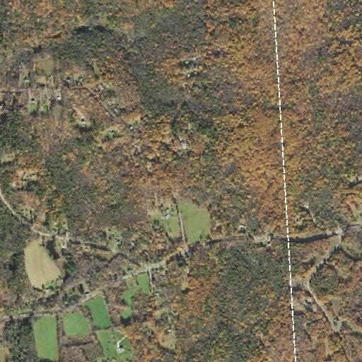 Man injured in head by log while logging at home