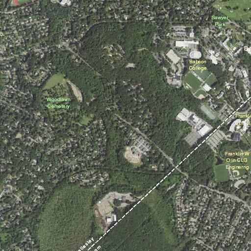 Minor brush fire at Wellesley RDF under scales