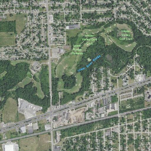 Animal complaint reported on Spring Hill