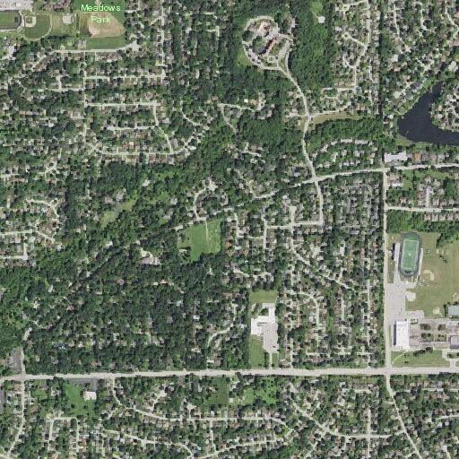 Woman with severe back pain at Hickory Grove Avenue