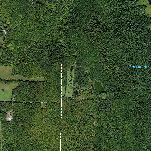 Rescue requested for lifting assistance at Beech Hill Road