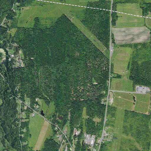 25-year-old female vomiting in Athens, NY